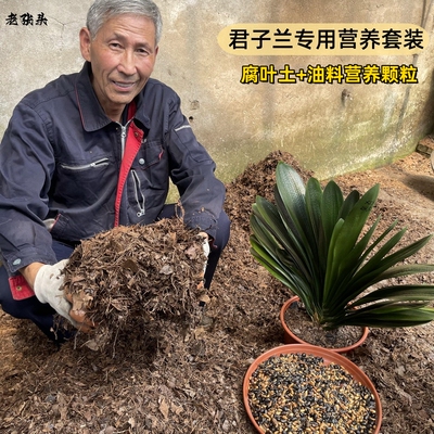 君子兰精配腐叶土营养颗粒套装