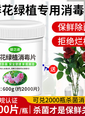 鲜花专用消毒泡腾片绿植盆栽84消毒液插花养花保鲜剂杀菌消毒片水