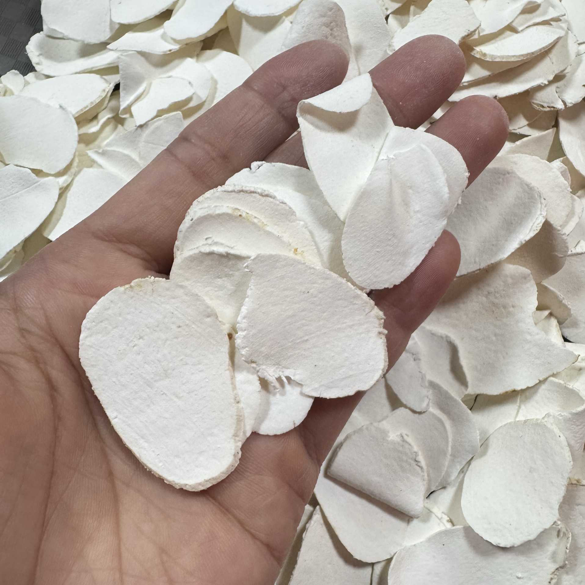 汕尾潮汕特色甲子薄片去皮圆片淮山正宗河南铁棍怀山药500g包邮