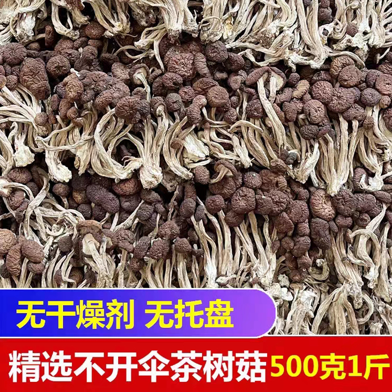 500g农家茶树菇新鲜不开伞2023干茶树菇干货特产无硫香菇蘑菇煲汤