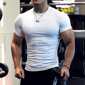 2026新款 T恤跑步健身教练兄弟撸铁 健身衣男速干衣运动紧身衣短袖
