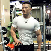 2026新款 运动教练服 健身衣男速干透气运动跑步训练高弹紧身衣短袖