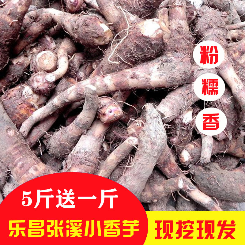 芋头新鲜斤装韶关乐昌炮弹