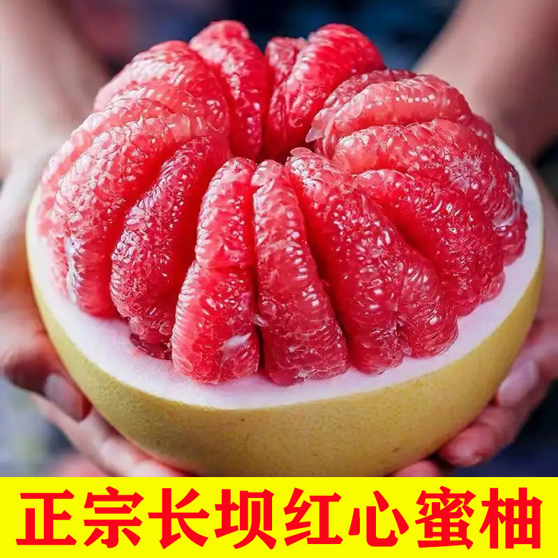 长坝红心蜜柚现摘现发