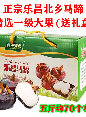 新鲜现挖乐昌北向马蹄脆甜无渣
