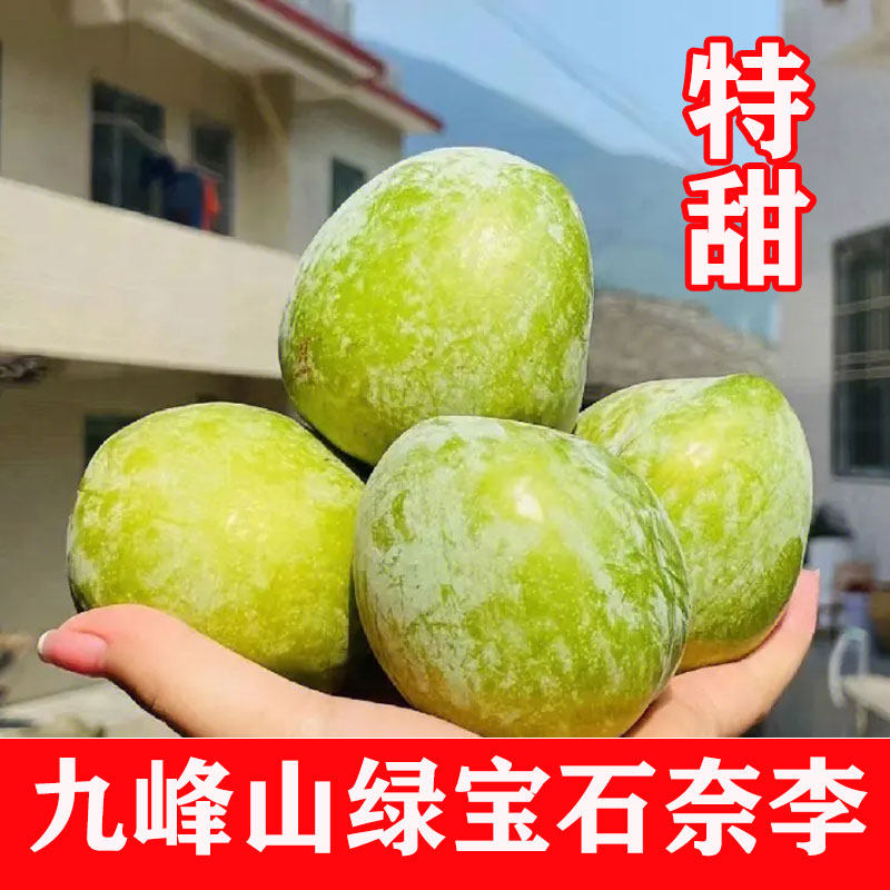 乐昌九峰山奈李绿宝石新鲜水果脆甜多汁蜜糖李广东韶关特产纯甜大