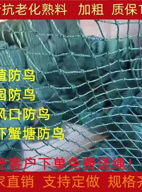 养鸡网家禽养殖围栏网瓜果爬藤网大棚通风口防护网果园围网