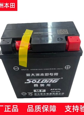 原厂新大洲本田CM300暴锋眼CBF190战鹰190TR战神战龙战彪电瓶电池