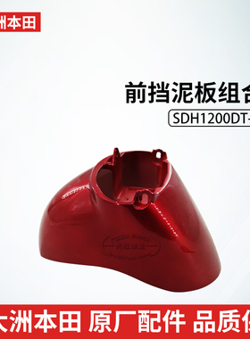 原厂新大洲本田电动车SDH1200DT-2mono酷萌前挡泥板挡水板挡沙板