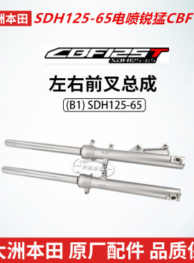 原厂新大洲本田电喷锐猛CBF125T摩托SDH125-65前减震前叉前避震器