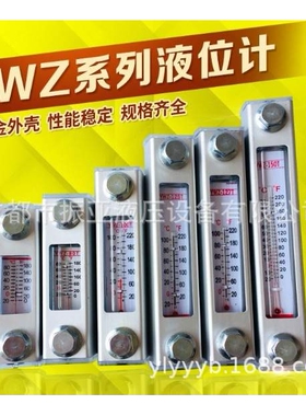 液位计油位计水位计YWZ-80T100T125T150T200T250T300T350T油温计