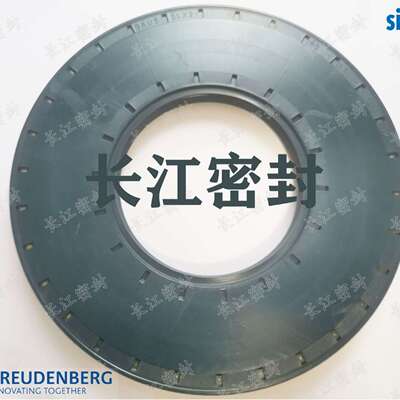 BAU5SLX2 85-140-12/10 75-95-10 CFW减速机骨架油封