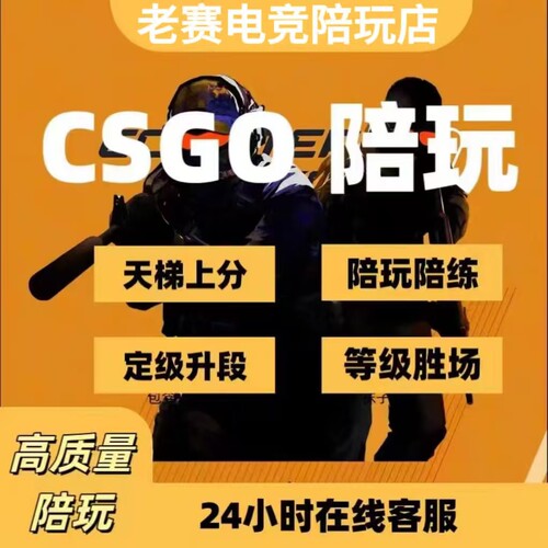 csg完美5e官匹，天梯上分陪玩陪练，技术教学，点位道具教学