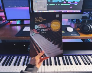 文武贝钢琴新手30天极速入门 简谱+五线谱+视频 钢琴电子琴基础自学入门基本教材 钢琴书籍 钢琴教程 成人入门零基础钢琴教程书籍