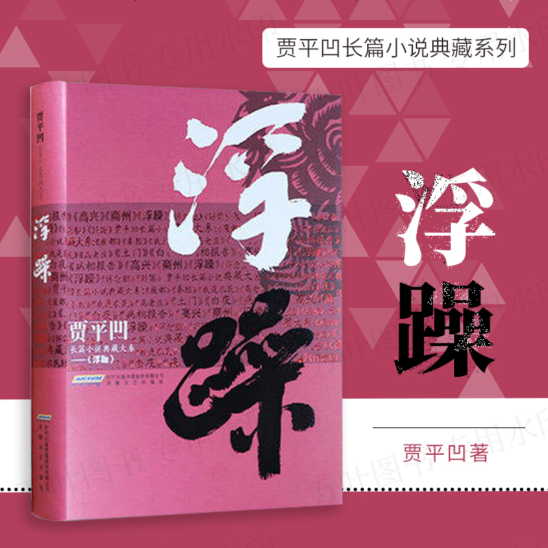 贾平凹文学集 农民工城市 奋斗心酸故事