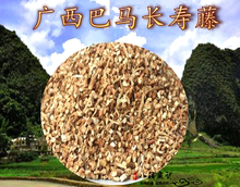 巴马长寿藤小甘草清心茶富贵藤茶新货广西特产巴马茶500克包邮