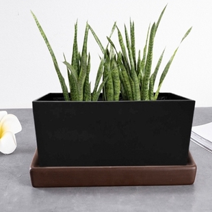 沥水绿萝花盆假山红砂托盘底座长方形简约古风仙人球花盒大托盘