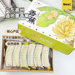遁地雷香蕉广东独有树上8成熟采摘不打保鲜剂生态种植自然成熟
