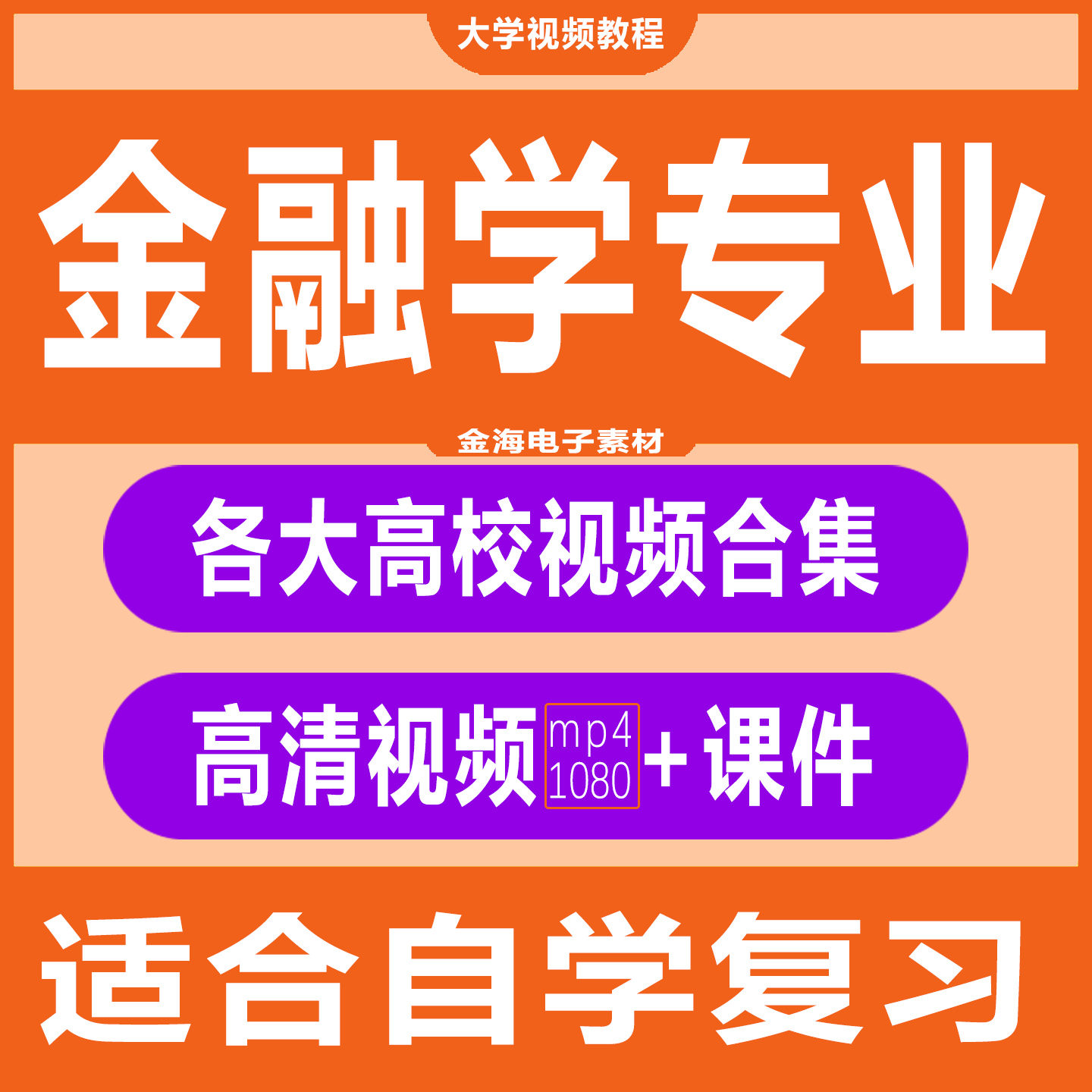 金融学行为金融学国际金融学金融工程基础理论原理视频教程合集