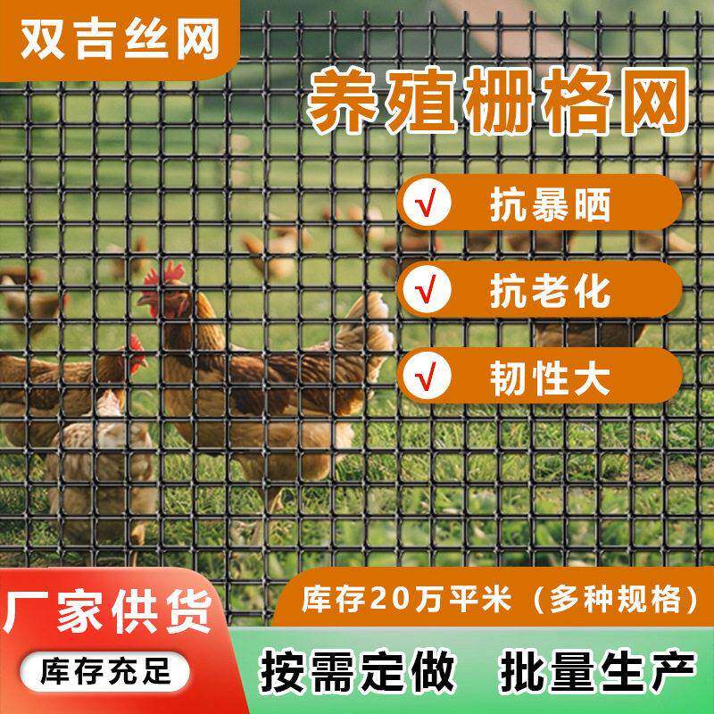 养殖网加厚塑料农村家用菜园果园圈地鱼塘养鸡围栏网格栅网
