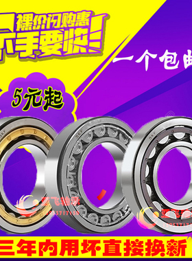 进口SKF轴承N NU NJ RN NUP 308 309 310 311 ECP ECM ECJ C3