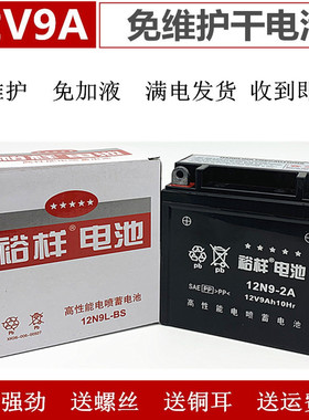 汽油三轮110/125/150/175摩托车免维护蓄电池12V9A干电瓶12N9-4B
