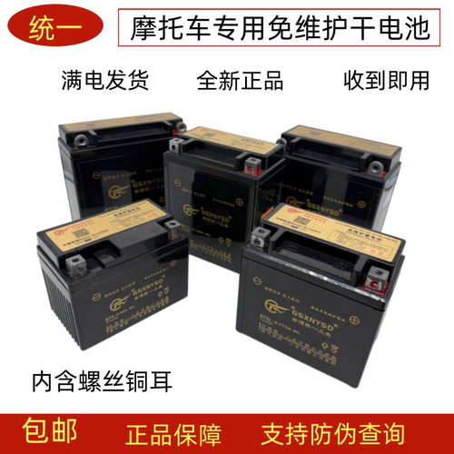 统一摩托车电瓶12v9a踏板车通用
