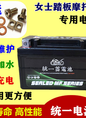 摩托车电瓶海王星125助力车YTX7A-BS免维护女士踏板统一蓄电池