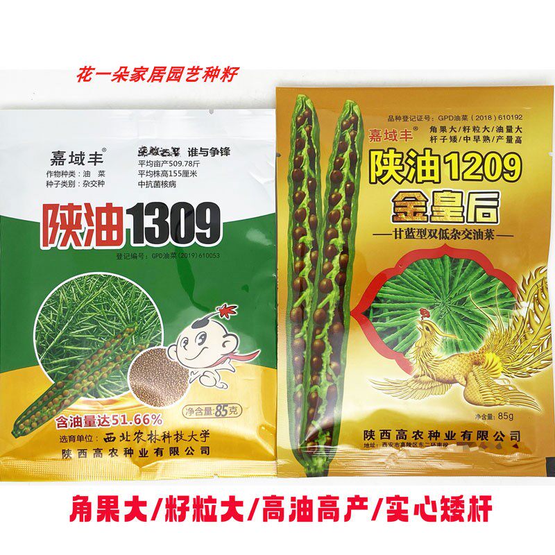 陕油1209甘蓝型油菜种籽高油抗冻实心矮杆黑籽冬油菜种子原装