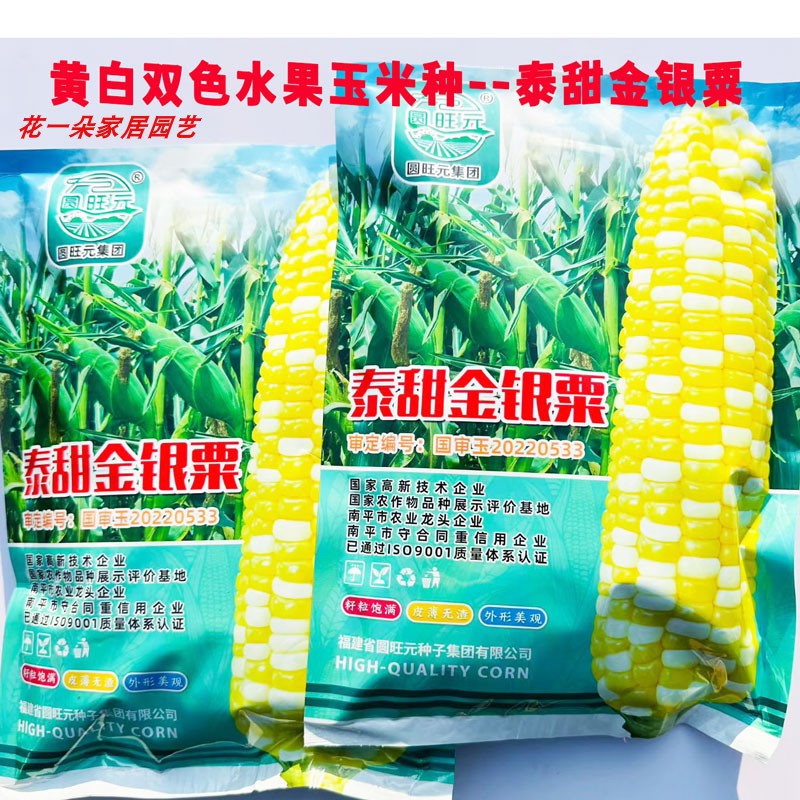 泰甜超甜双色水果玉米种子