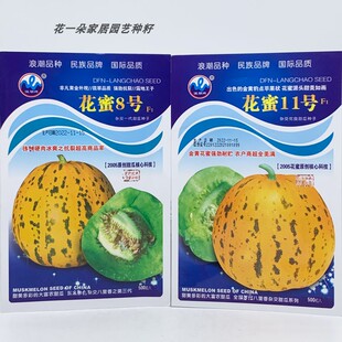 浪潮花蜜8号11号甜瓜种籽高产金黄豹点苹果型花蜜八里香香瓜种子