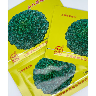 长征小八叶塌菜乌塌菜种籽高产耐寒矮棵黑心乌菜种上海塌棵菜种子