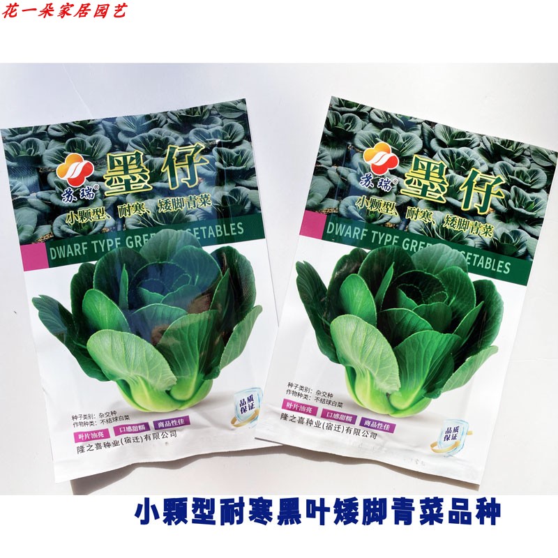 墨仔精黑矮脚青菜种籽50克