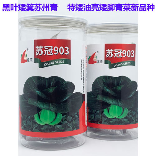 绿领苏冠903苏州青青菜种籽高产耐寒黑叶矮箕阳台盆栽矮脚菜种子