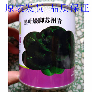 黑叶矮脚苏州青黑大头青菜种子早熟高产耐热耐寒叶黑青梗菜种子
