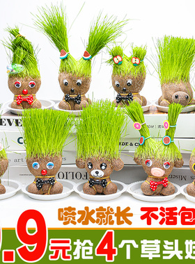 草头长草娃娃头上长草儿童种植小盆栽种草绿植观察植物生长幼儿园