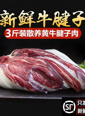 3斤现杀新鲜牛腱子国产黄牛肉