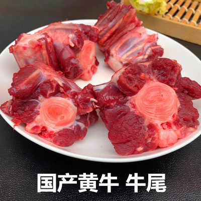 国产黄牛尾骨新鲜牛肉