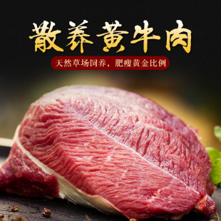 牛腩 肋条肉 新鲜牛肉 牛后腿肉 肋排肉500g 放养黄牛肉 生牛肉