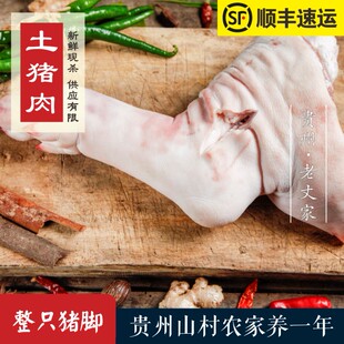 贵州农家土猪肉新鲜现杀猪腿整只猪脚32元1斤 称好再算 先拍6斤