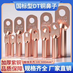 国标铜鼻子电线接头dt10 16 25 35 50 70平方线耳镀锡铜接线端子