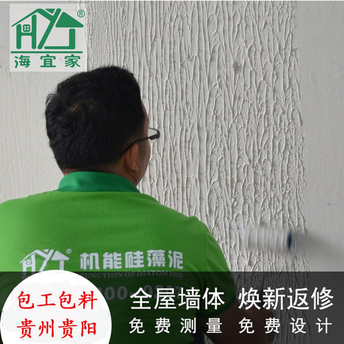 旧房翻新HYJ硅藻泥墙面天鹅绒