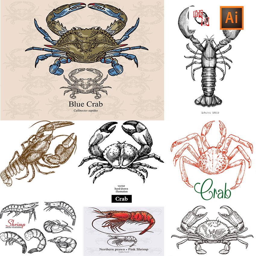 龙虾螃蟹素描线描插画ai矢量设计素材