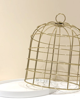 欧式金属铁艺金色鸟笼软装花器摆件装饰笼糕点盘客厅玄关软装饰品