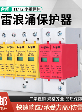浪涌保护器单相光伏2P20KA60KA家用电源防雷器三相4P40KA电涌模块