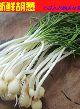 恩施利川 新鲜胡葱薤白苗苦葱苦藠葱果小根葱野葱子小蒜小葱果3斤