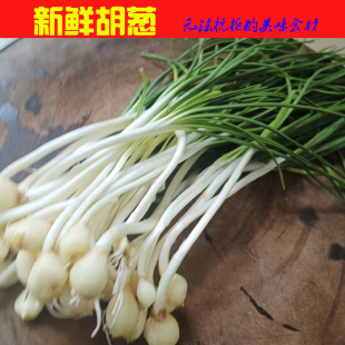恩施利川 新鲜胡葱薤白苗苦葱苦藠葱果小根葱野葱子小蒜小葱果3斤
