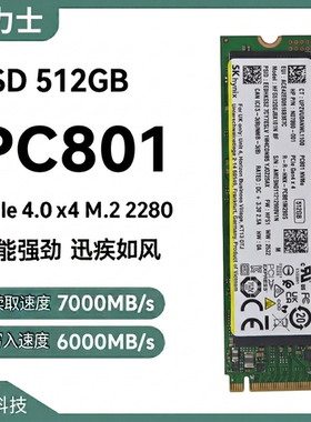 SK海力士PC801512Gssd固态硬盘