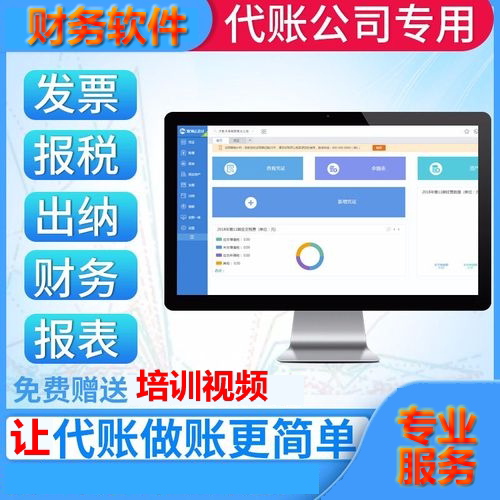 会计迷你版标准版专业版财务软件代理记账加密安全锁做凭证出报表