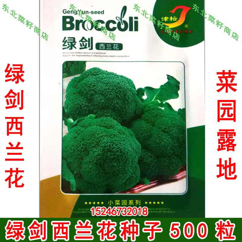 新籽绿菜花 西蓝花种子露地菜园 原装 绿剑西兰花种子500粒 - 实物图